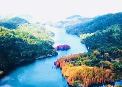 ����Ƭ������݋�c(di��n)��ΰѿ�