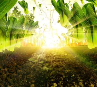 ����͸�����V��Ƭ���OӋ