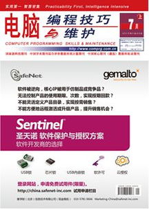 電腦編程技巧與維護(hù) 提升效率與保障穩(wěn)定性的雙翼