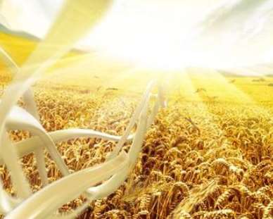 廣告片的制作應(yīng)把控的點(diǎn)