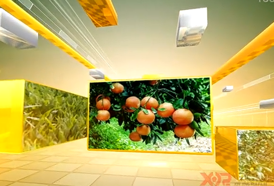 ��I(y��)����Ƭ���ڹ�˾�l(f��)չ�����x